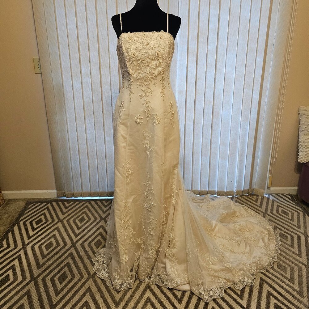 Ashley Jordan Beige Wedding Dress‎ 12